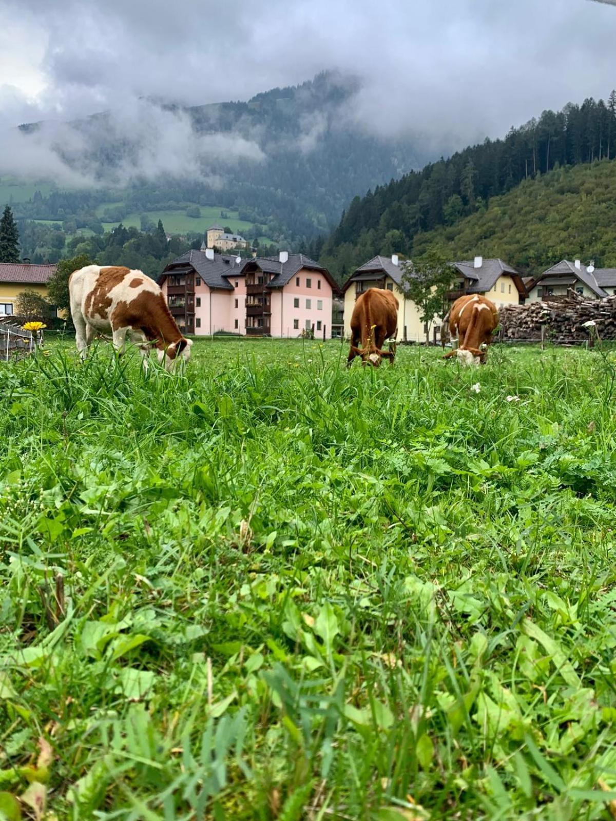 Panorama Apartments Semslach Obervellach Extérieur photo